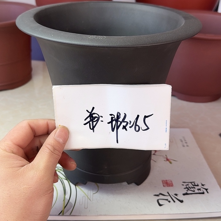 春秋花盆精品兰盆