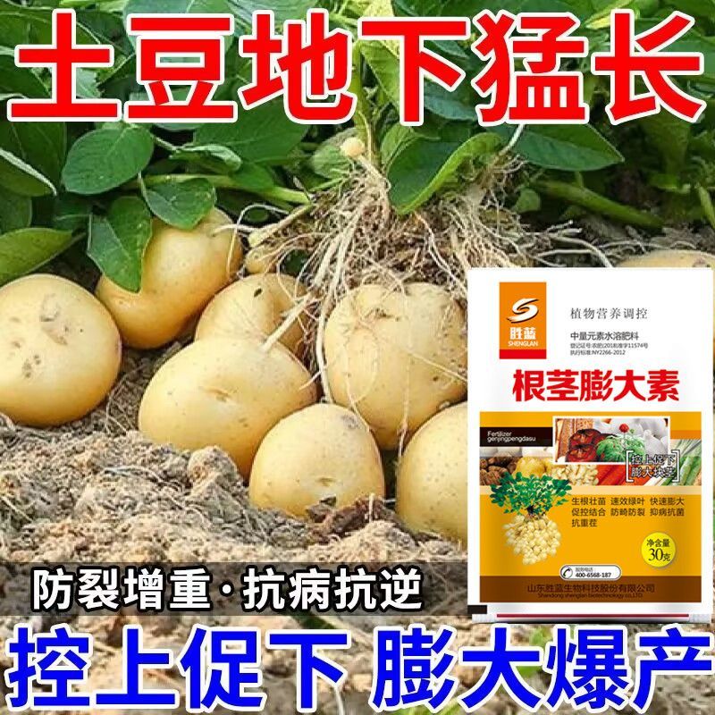 土豆膨大素地下根茎猛长膨大防裂水溶肥马铃薯抗病增产土豆叶面肥