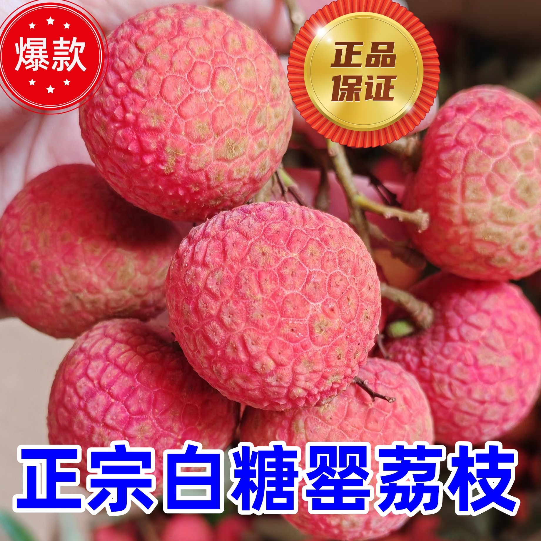 白糖罂新鲜荔枝广东应季新鲜水果老树果园现摘现发顺丰空运包邮