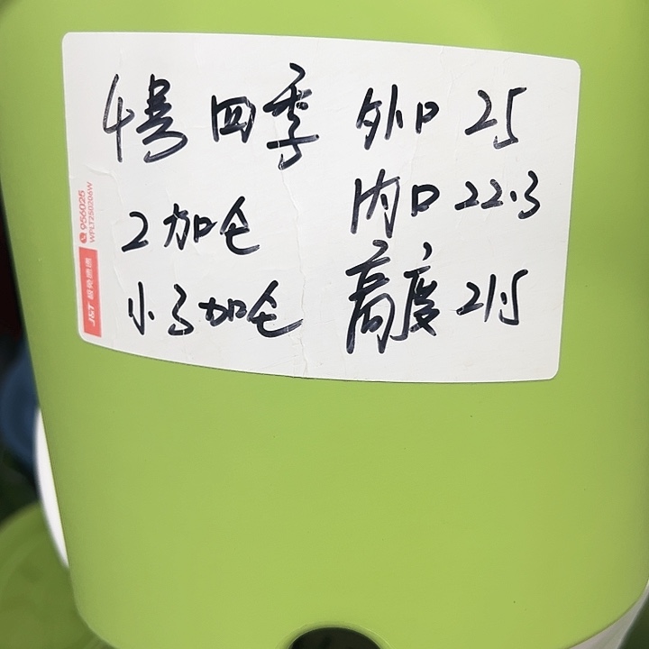 特价4号四季口25高21.5果绿无托10个