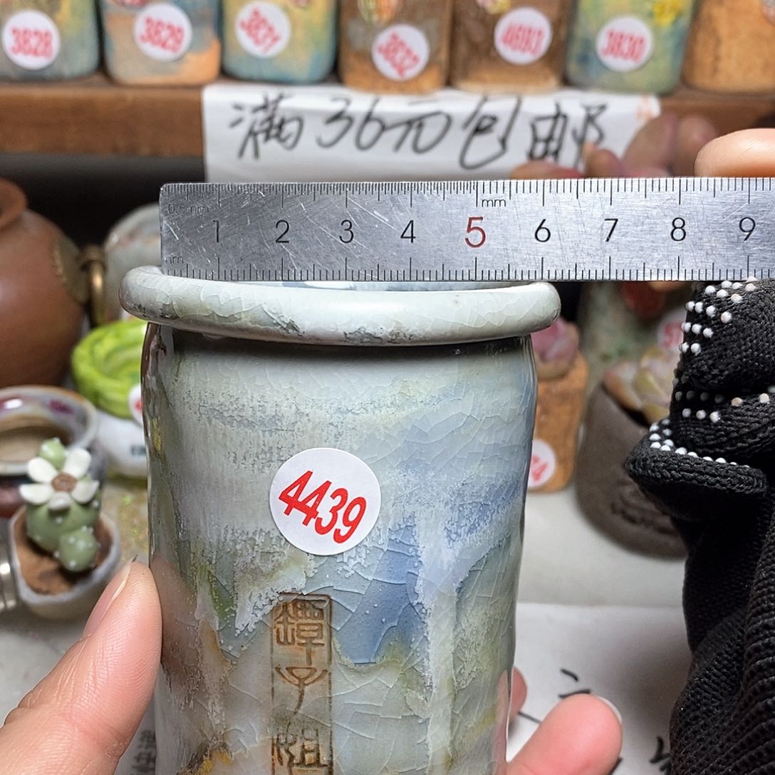 红陶拍5送一个小