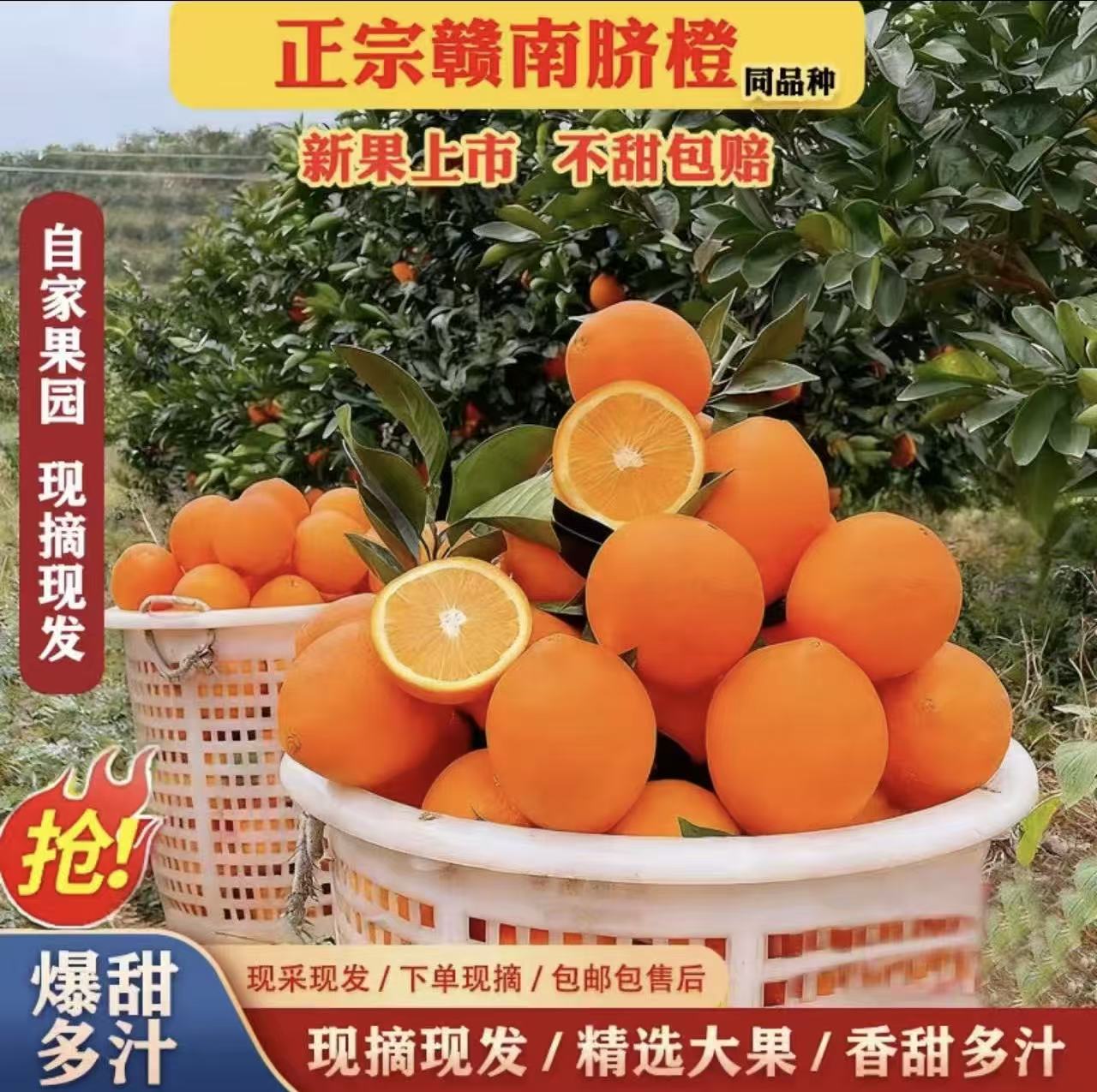 赣南脐橙同款新鲜橙子当季精品水果冰糖甜橙现摘包邮多仓发货