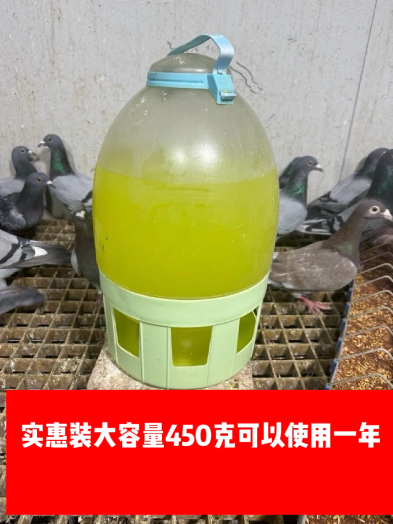 电解质肝精二合一补肝 赛鸽 种鸽 鸽肉