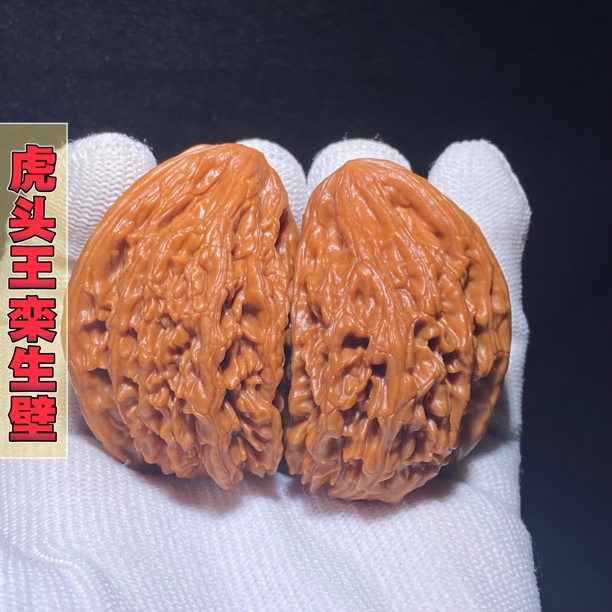 栾生壁 蓟县虎头王同果栾生 全品无瑕疵 一物一图 盘玩收藏款