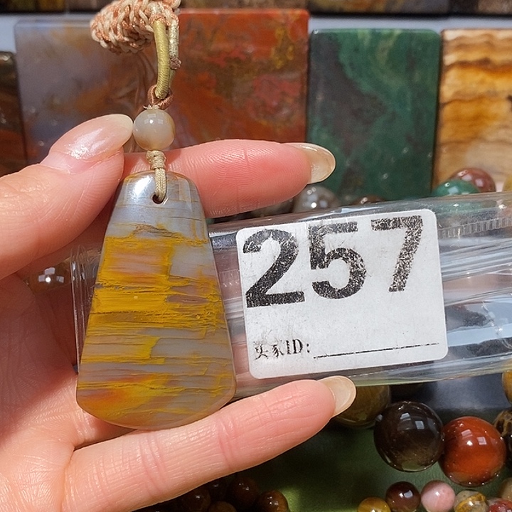 硅化玉未镶嵌天然北票树化玉吊坠