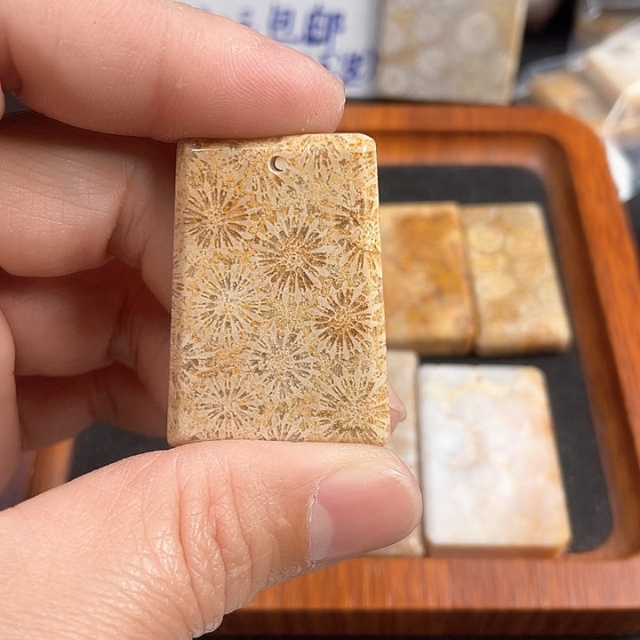 硅化珊瑚（珊瑚玉）吊坠(不含链)未镶嵌郝*子