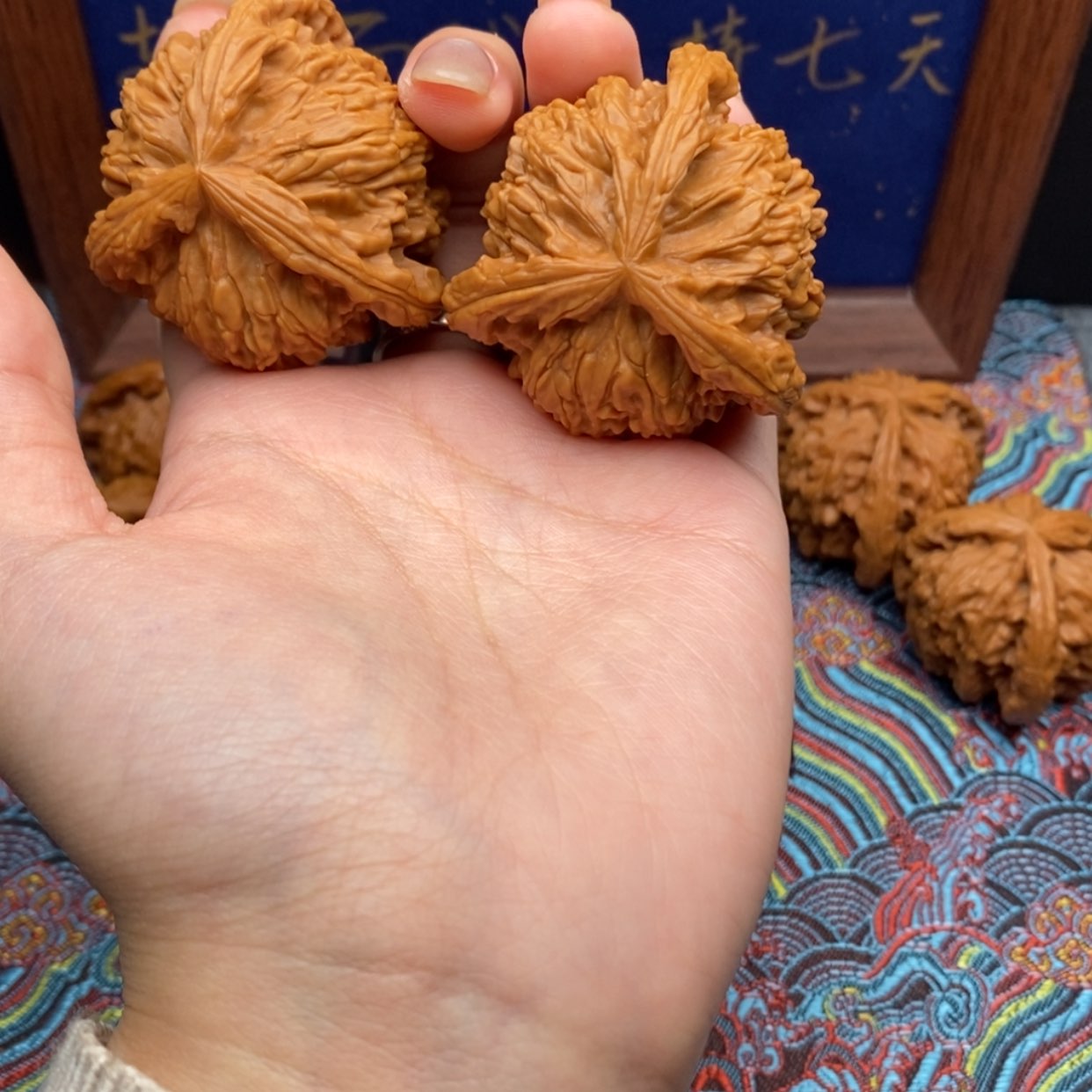 【闪购商品】王*诚白狮