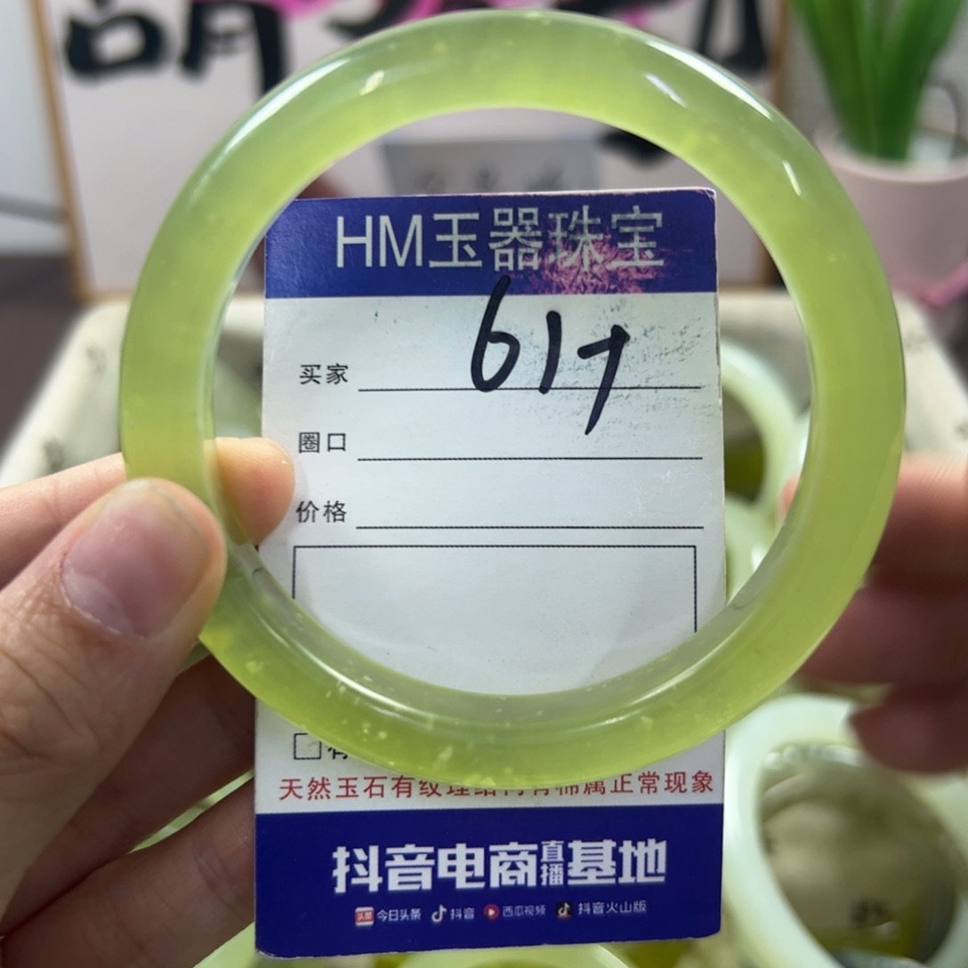 蛇纹石玉手镯未镶嵌294