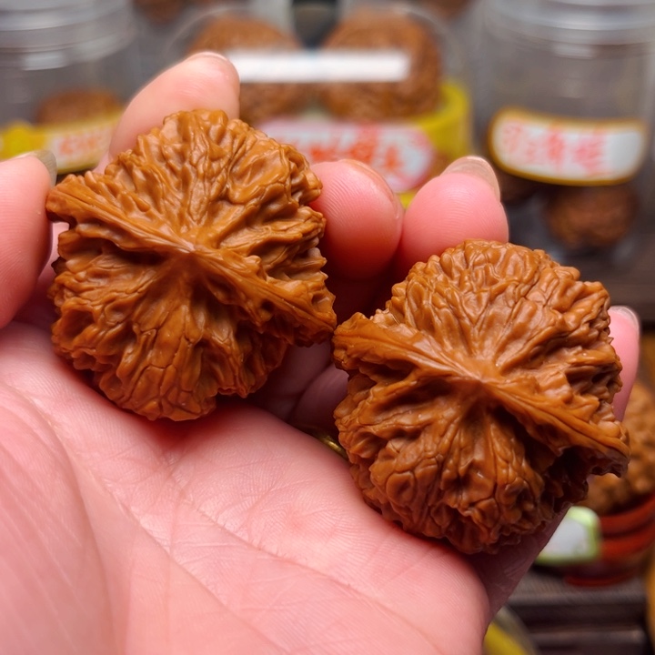 41苹果园放漏款……………