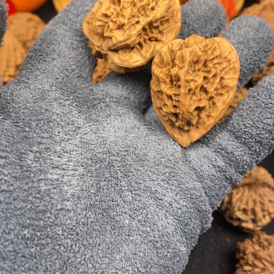 风***由秦岭南北区有两块土地