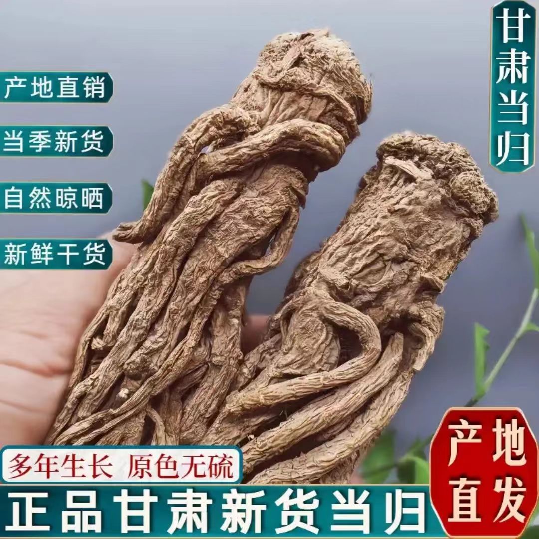 甘肃岷县无硫当归整根精挑细选产地直发煲汤滋补佳品