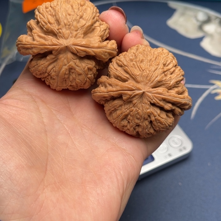 文玩核桃把件粗筋50