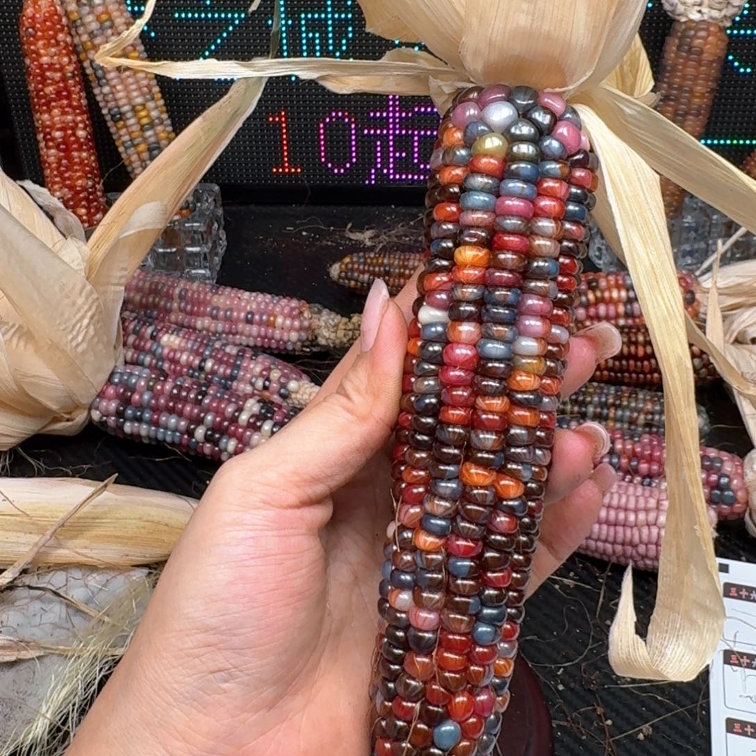 柏香籽/百香籽吊坠幽*