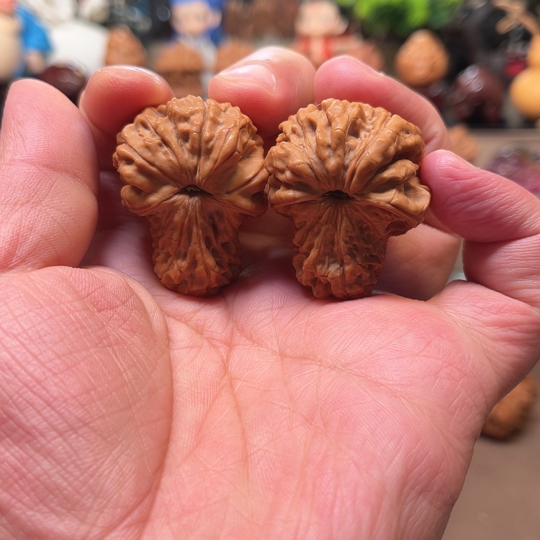 把件桃核蘑菇云核桃