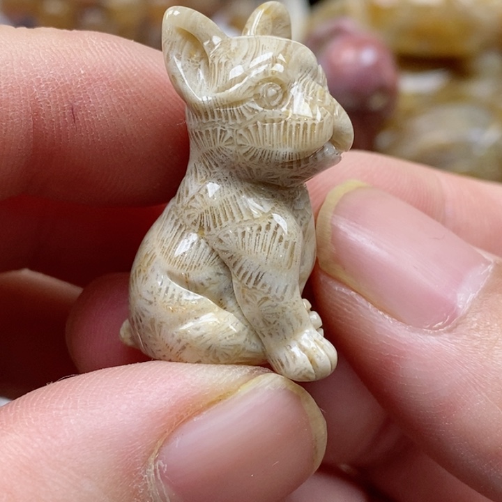 硅化珊瑚（珊瑚玉）颈饰未镶嵌