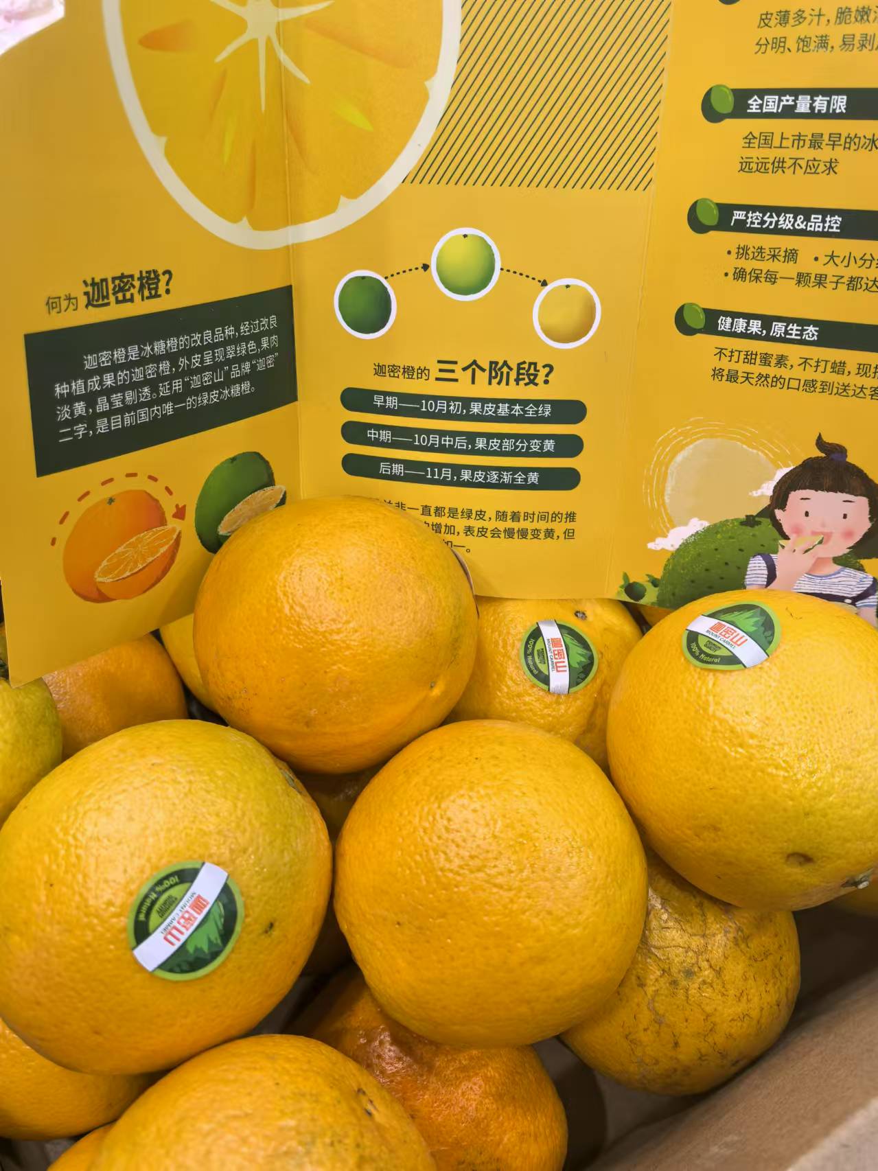 悦果先生迦密橙（一箱）