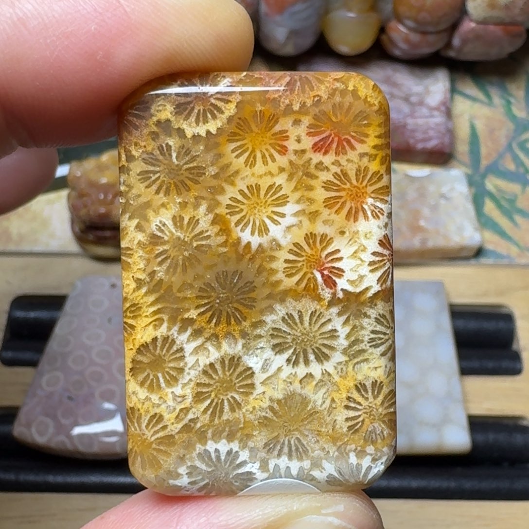 硅化玉天然有机玉石保真色未镶嵌