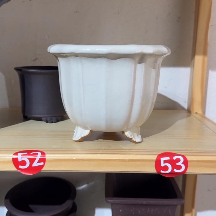 晟***影花盆紫砂福利来啦