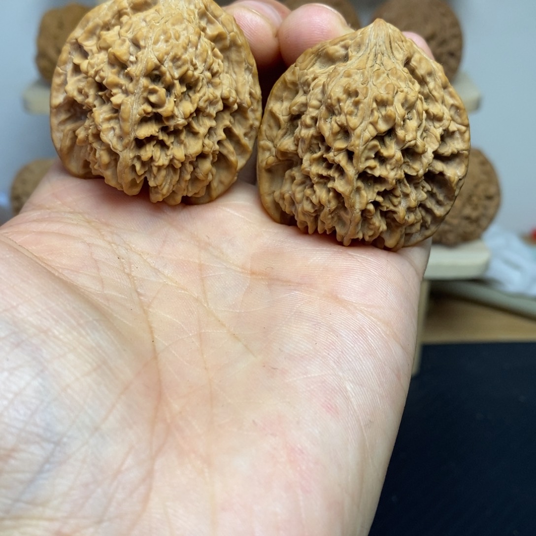 大叶紫檀（黑酸枝木类）42满天星