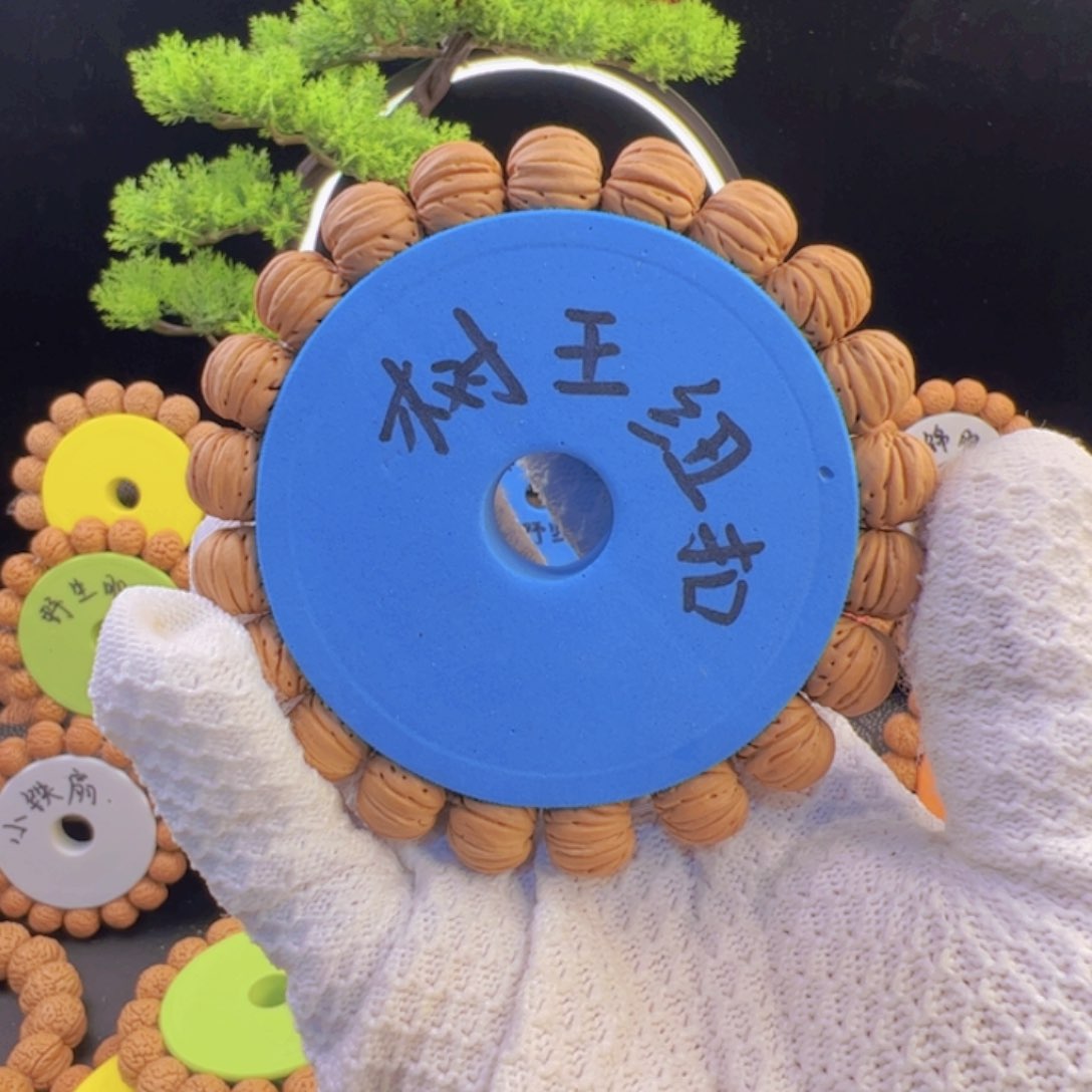 桃核手串树王纽扣