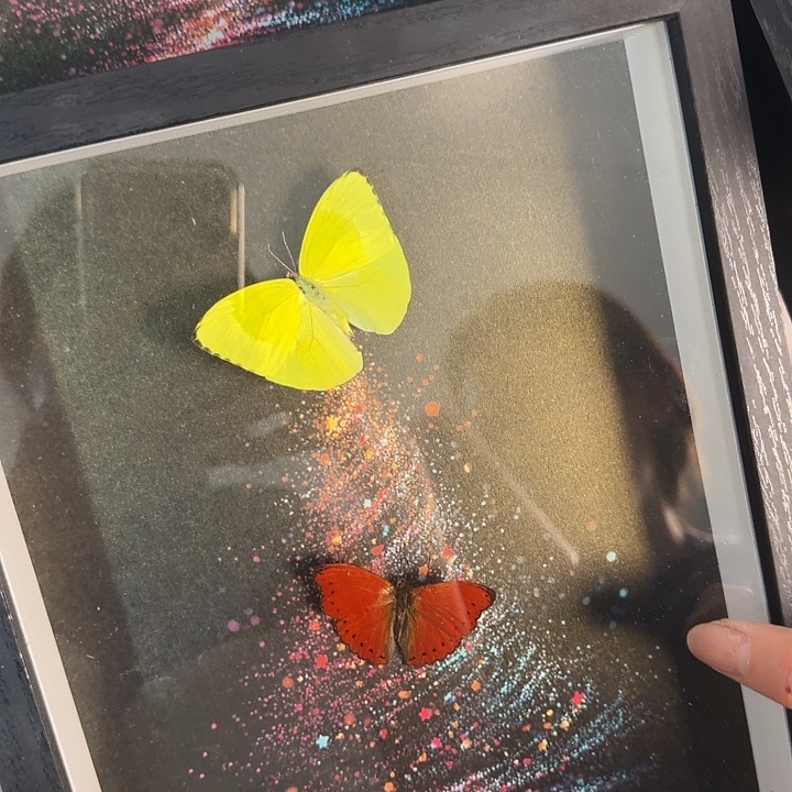 195圣诞款蝴蝶蝴蝶蝴蝶