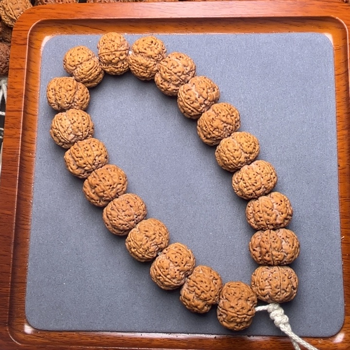 13金刚菩提矮桩满肉梅花22
