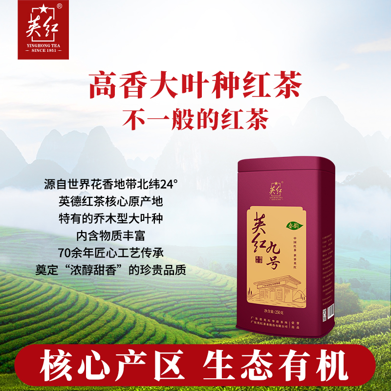 [英红牌]春韵九号 春茶 核心原产地 英红九号 大份量春茶罐装250g