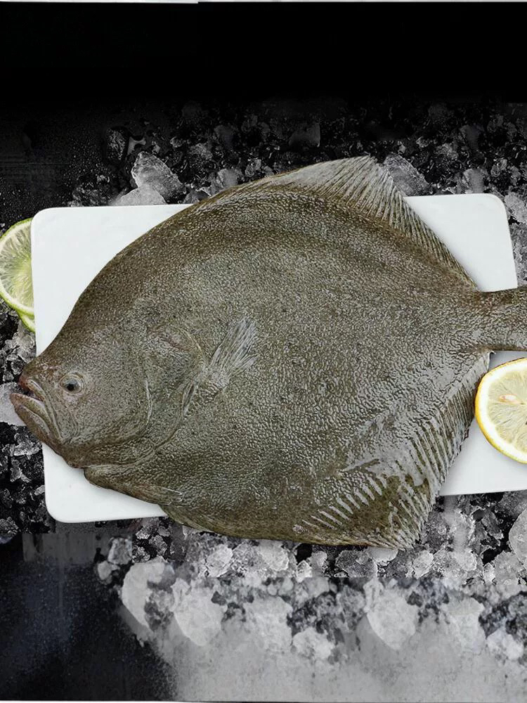 《海捕多宝鱼》好吃刺少 海鱼 10斤装 天津发货