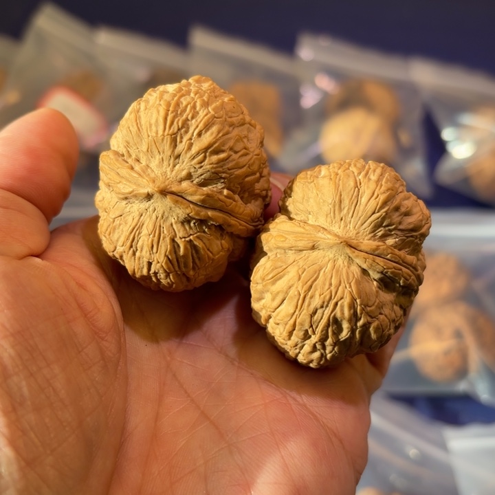吊坠文玩核桃金锭子