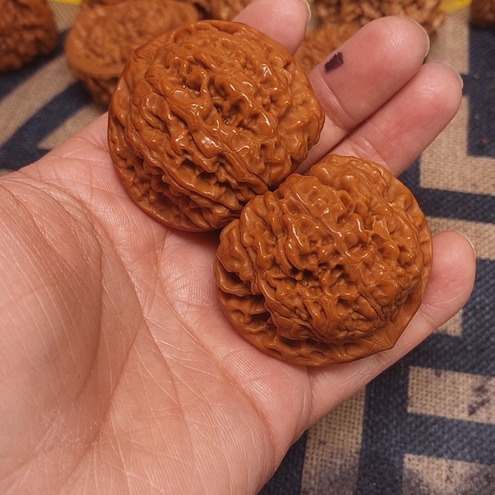 大叶紫檀（黑酸枝木类）意**一官帽