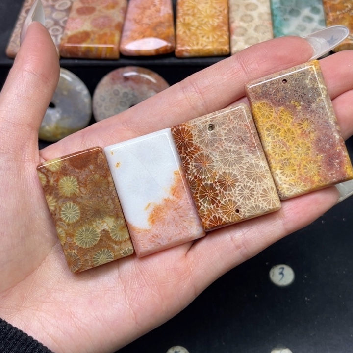 未镶嵌吊坠硅化珊瑚（珊瑚玉）