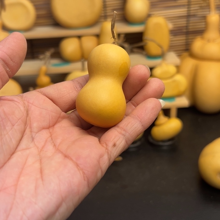 S****柒固态葫芦葫芦葫芦葫芦葫芦