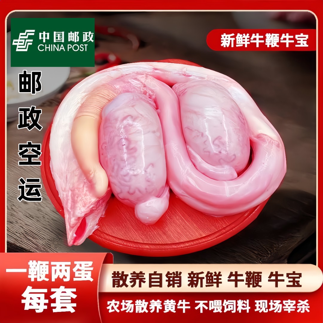 A2新鲜整套黄牛鞭一鞭两蛋整根牛鞭宝牛蛋牛三宝现杀牛鞭直播销售