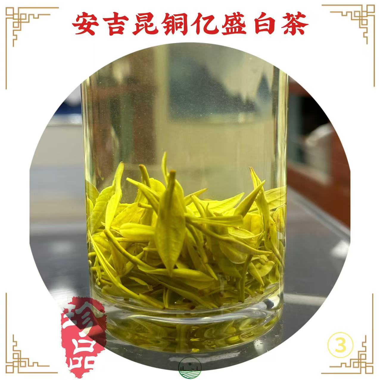 2025【A3】【兰香小芽】明前高山白茶回甘鲜甜