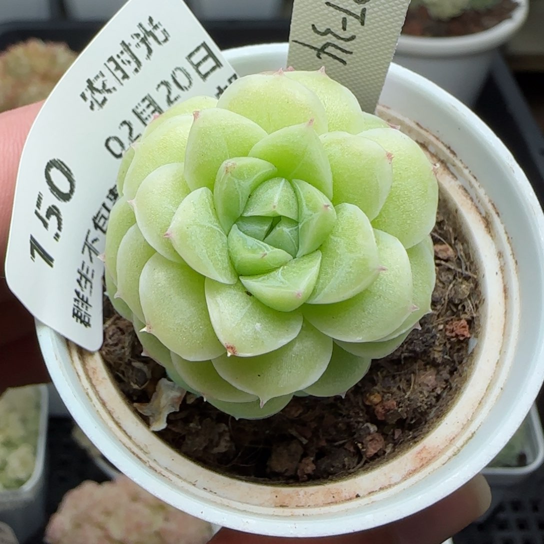 0220-150（PPT-34）