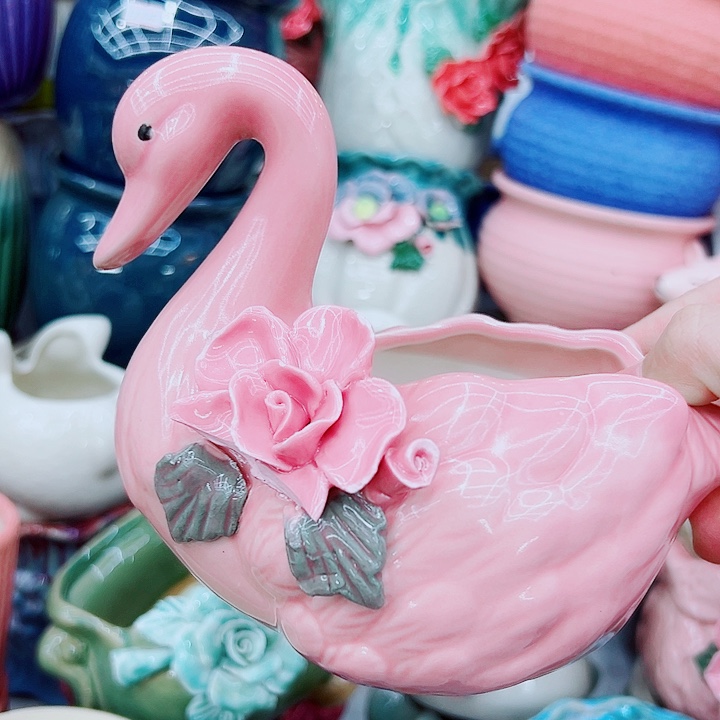 多肉植物陶瓷花盆