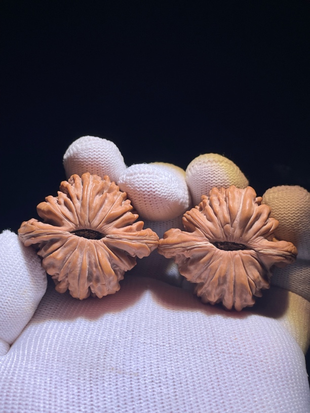 43全品大肉底头货平谷肉楼文玩核桃