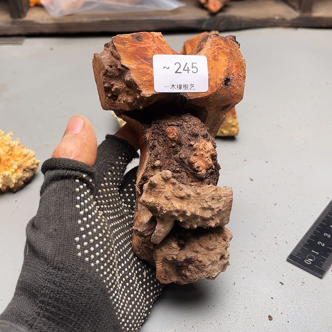 光***头无花朵000000000000245