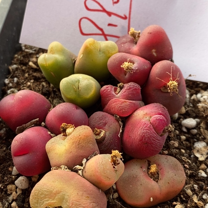 29190有伤一组一组