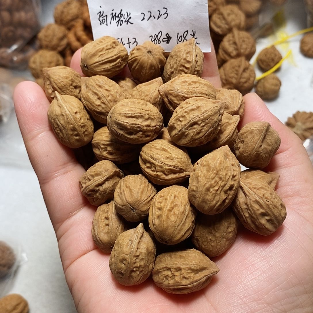 核桃手串/手链金枕脖挂 打底个别黄底 不退换