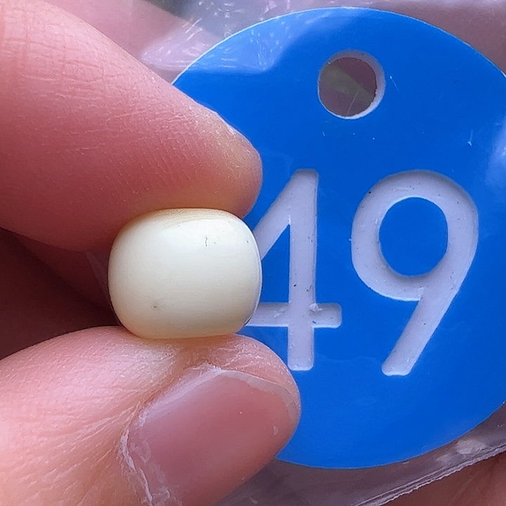 蜜蜡裸石未镶嵌花粉9.7m m