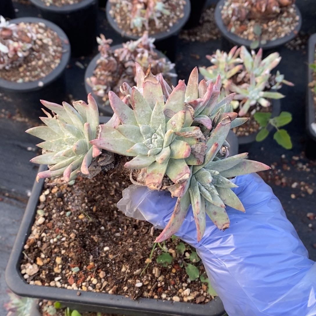 1908哈哈哈哈哈哈哈哈哈