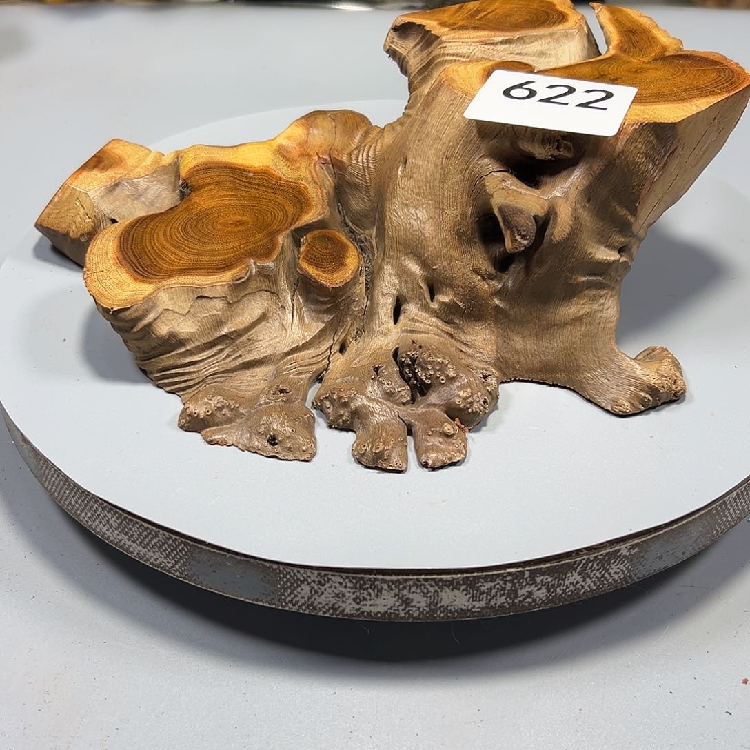 大果紫檀（缅甸花梨）连***马