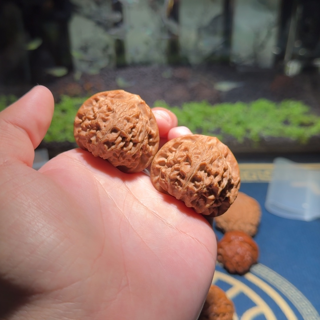 44宫灯狮子头文玩核桃