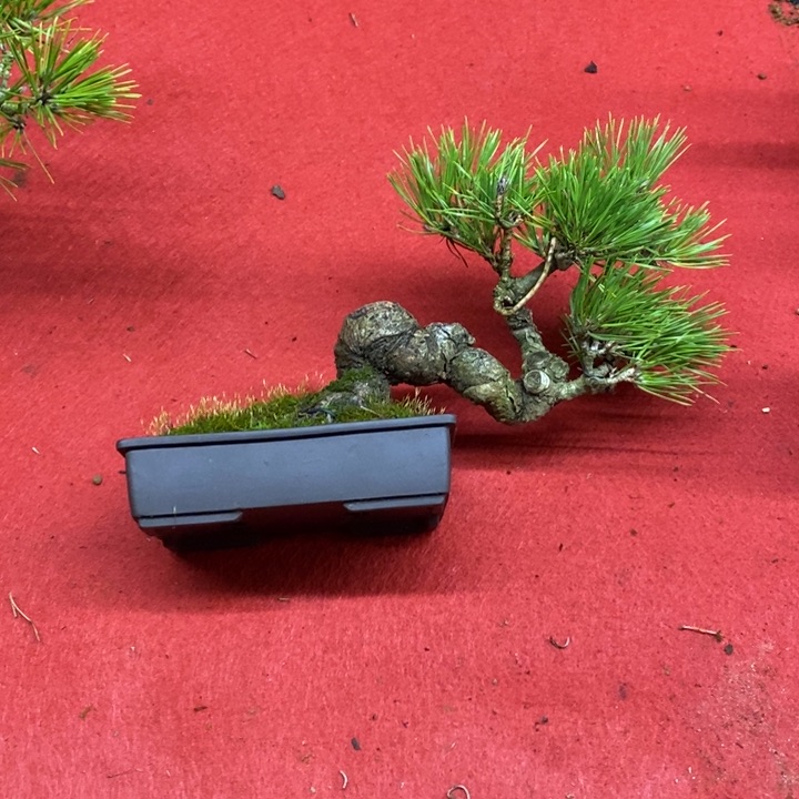 允*58358853688啦啦啦