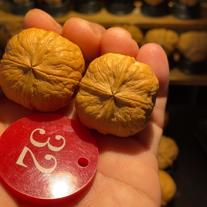 玉***风吊坠桃核铁核桃四棱