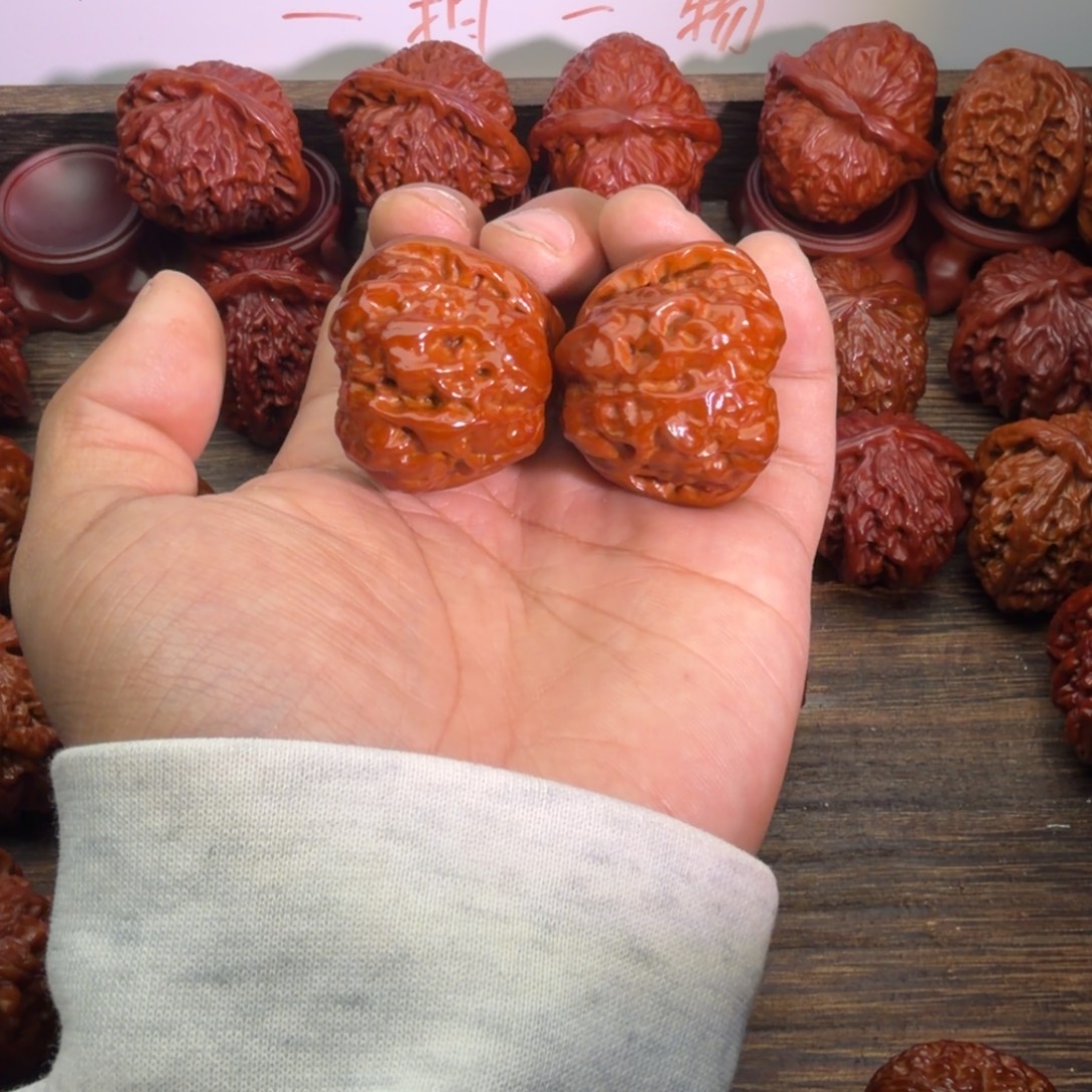 蛤蟆头宝贝宝贝宝贝