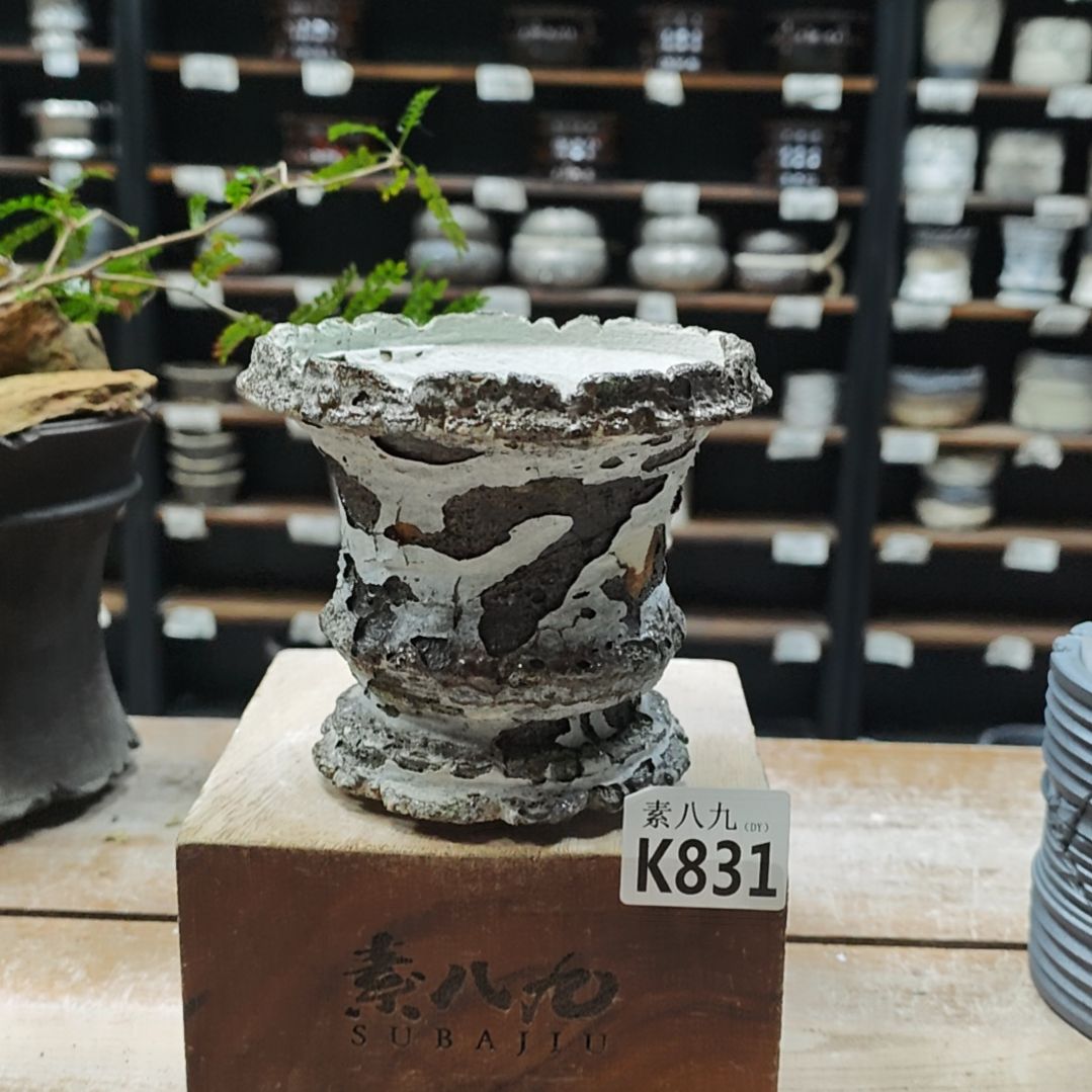 陶瓷素八九陶瓷内口11.5高12