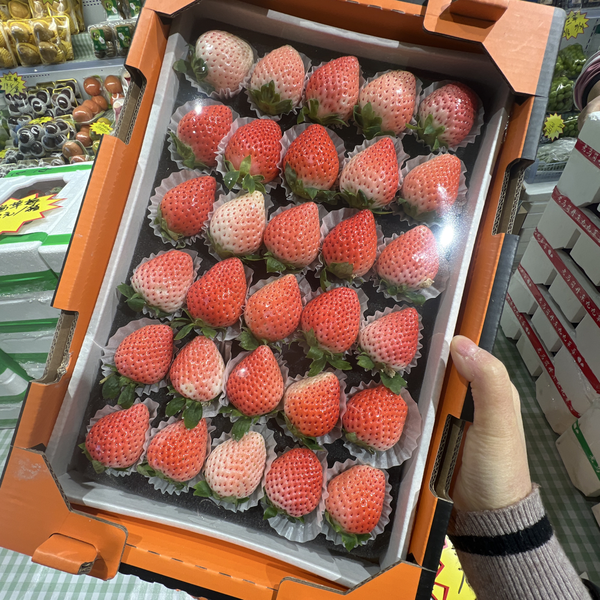 爱马仕粉玉久久草莓（盒）