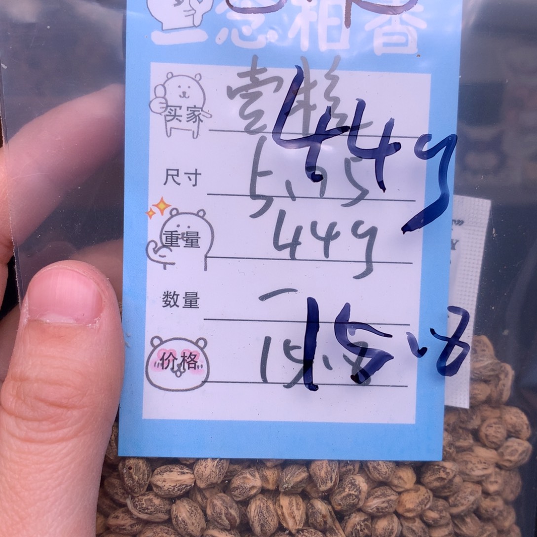 壹***核柏香籽/百香籽吊坠